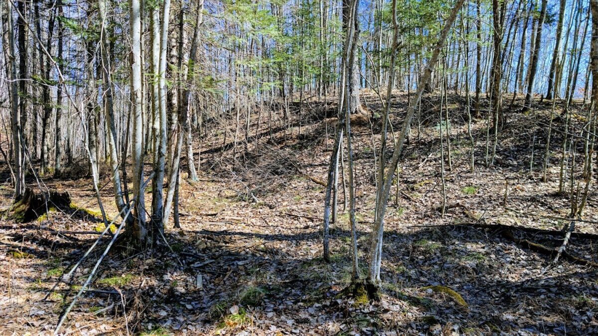 17341 County Highway M  New Auburn WI 54757 — photo 53