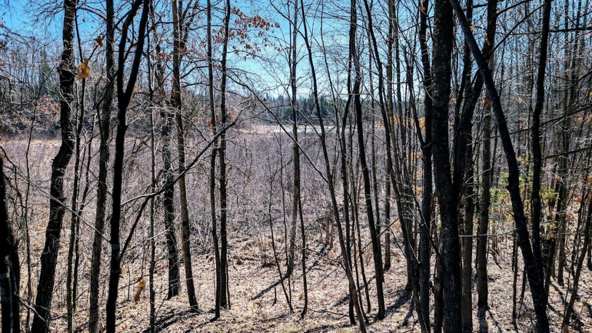 17341 County Highway M  New Auburn WI 54757 — photo 54