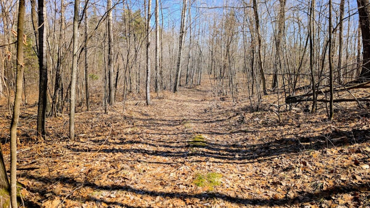 17341 County Highway M  New Auburn WI 54757 — photo 55