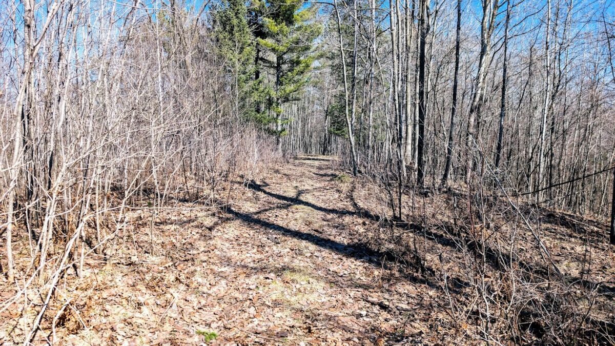 17341 County Highway M  New Auburn WI 54757 — photo 56