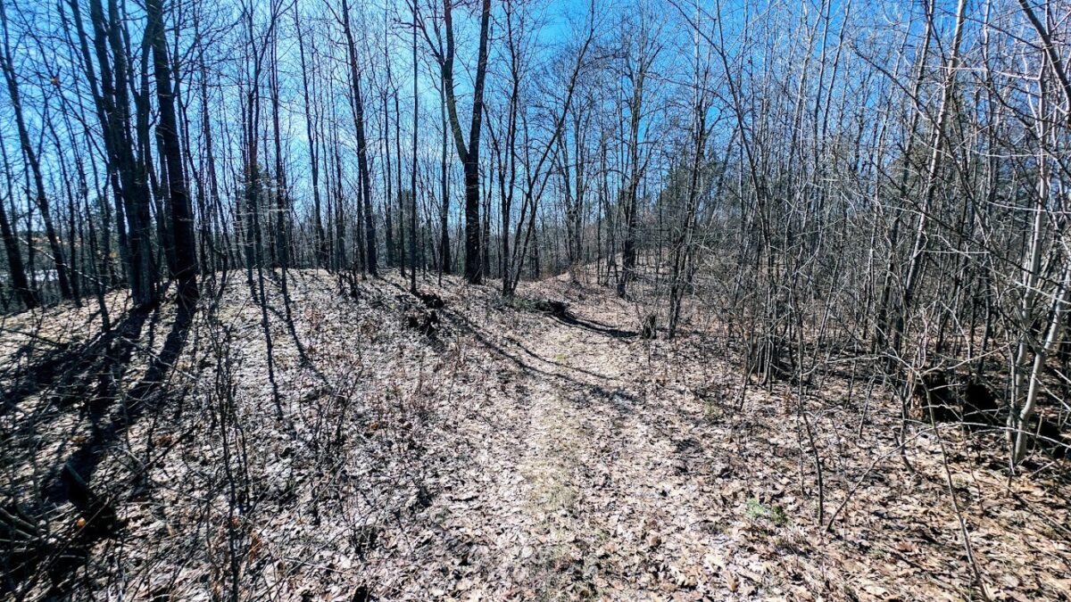 17341 County Highway M  New Auburn WI 54757 — photo 57