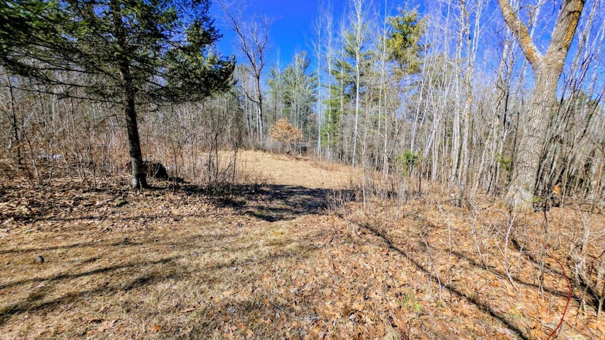 17341 County Highway M  New Auburn WI 54757 — photo 58