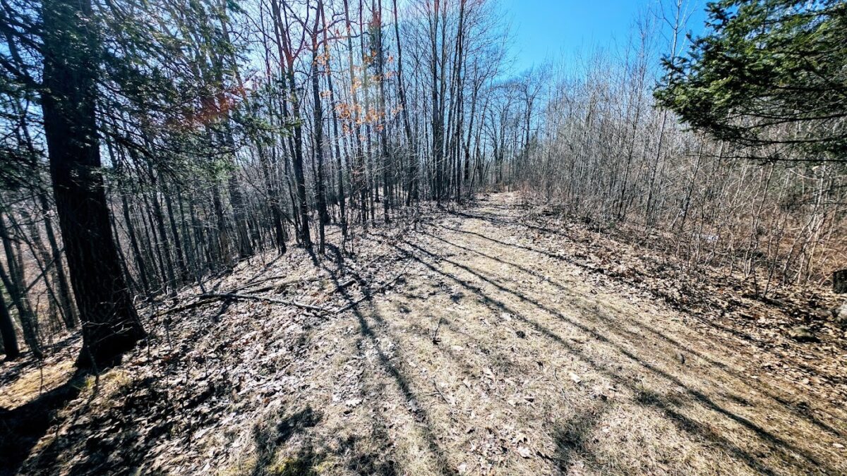 17341 County Highway M  New Auburn WI 54757 — photo 59