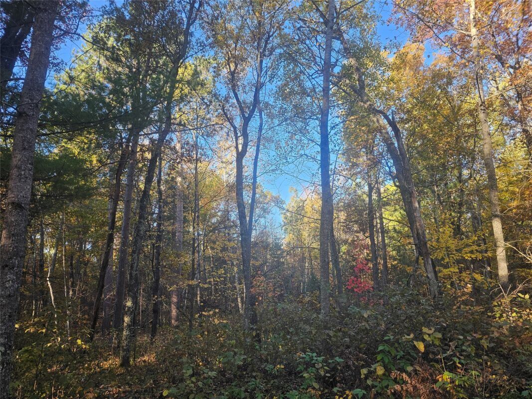 1894 S Lost Lake Road Danbury WI 54830 — photo 18