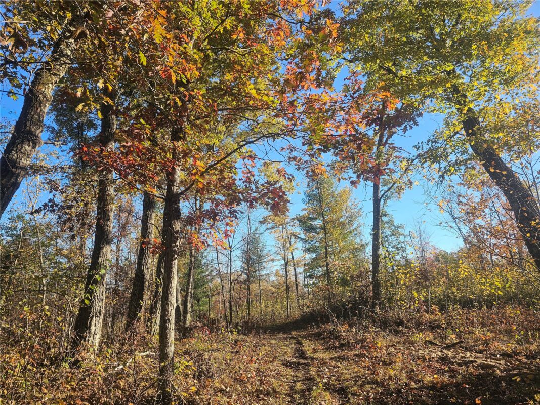 1894 S Lost Lake Road Danbury WI 54830 — photo 19