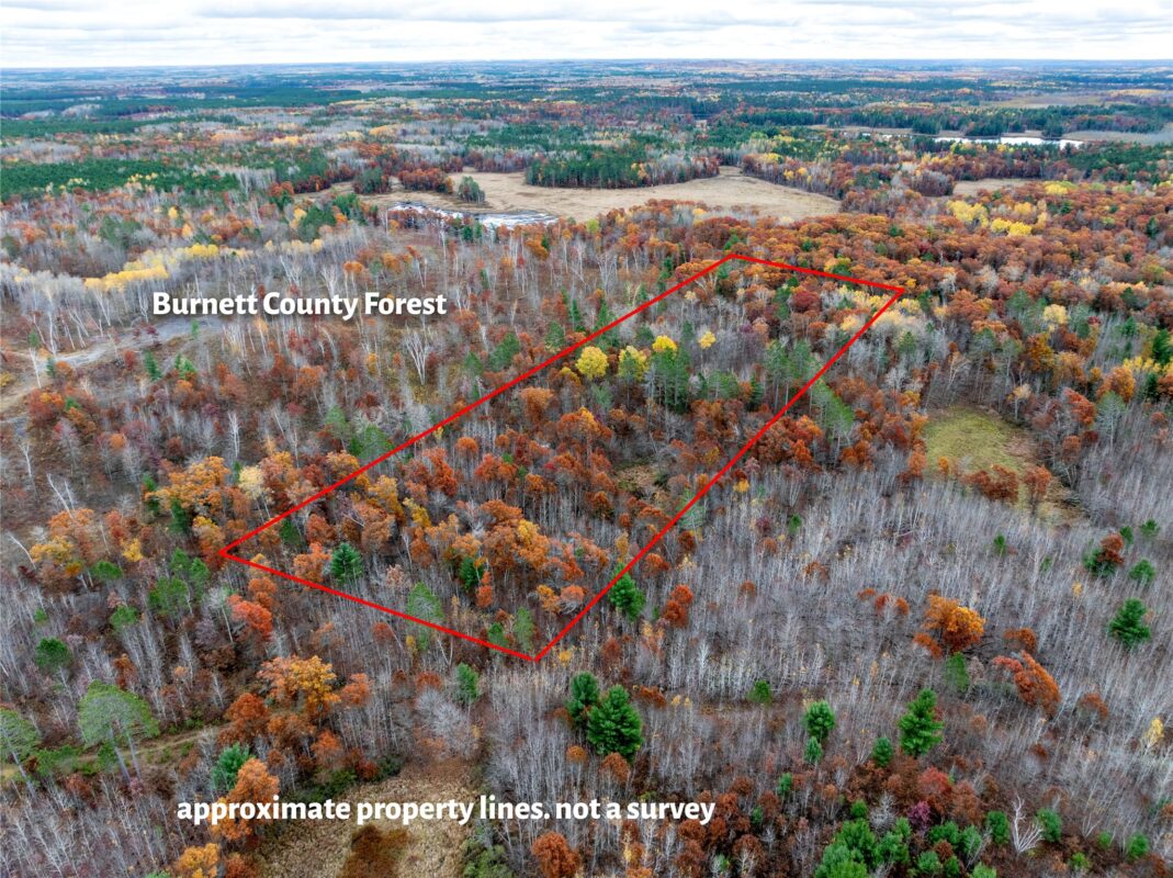 1894 S Lost Lake Road Danbury WI 54830 — photo 2