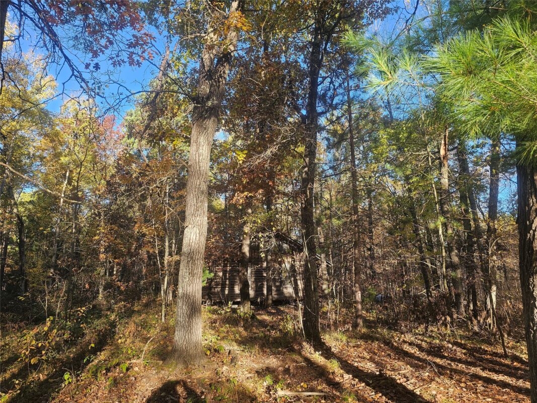 1894 S Lost Lake Road Danbury WI 54830 — photo 20