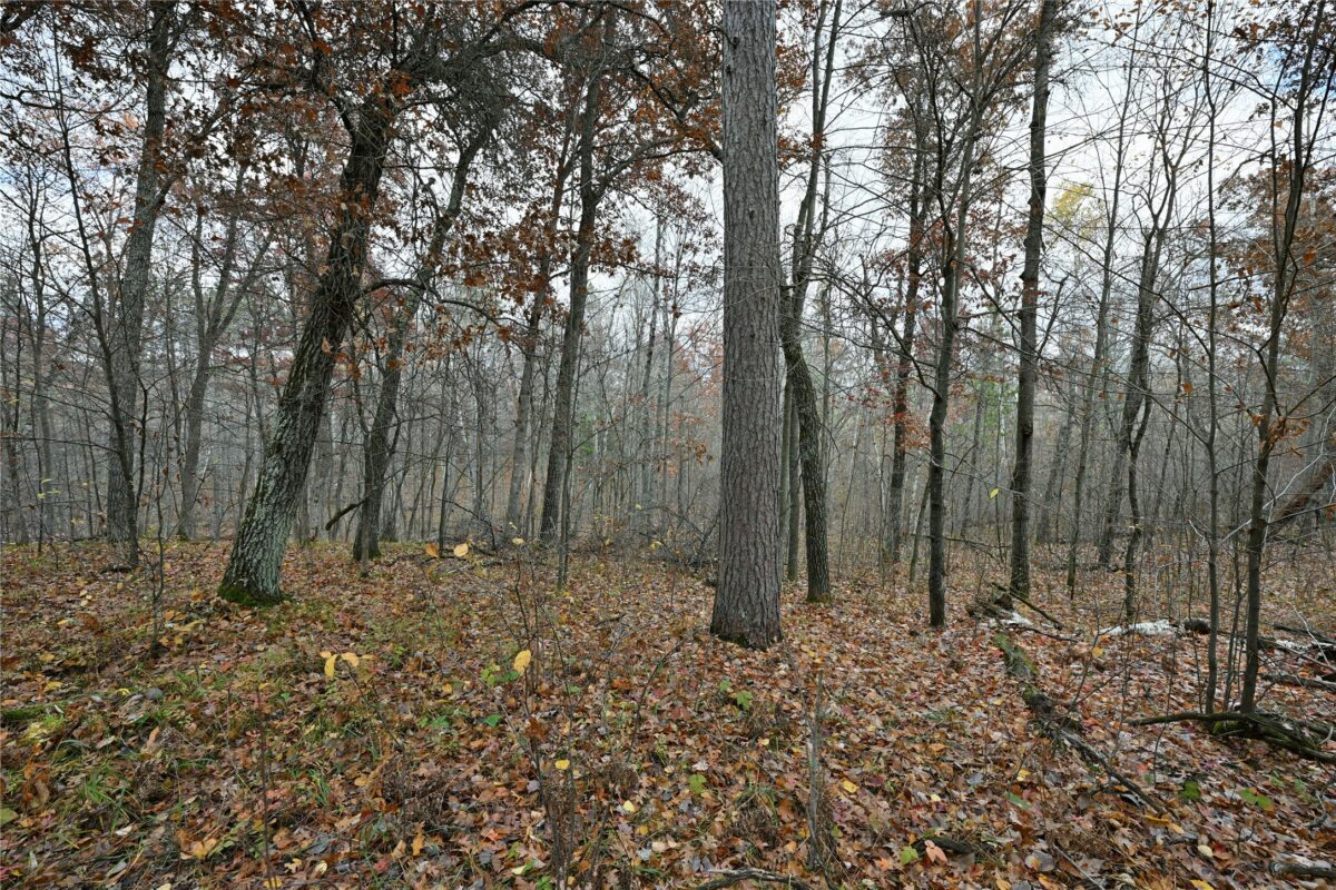 1894 S Lost Lake Road Danbury WI 54830 — photo 3