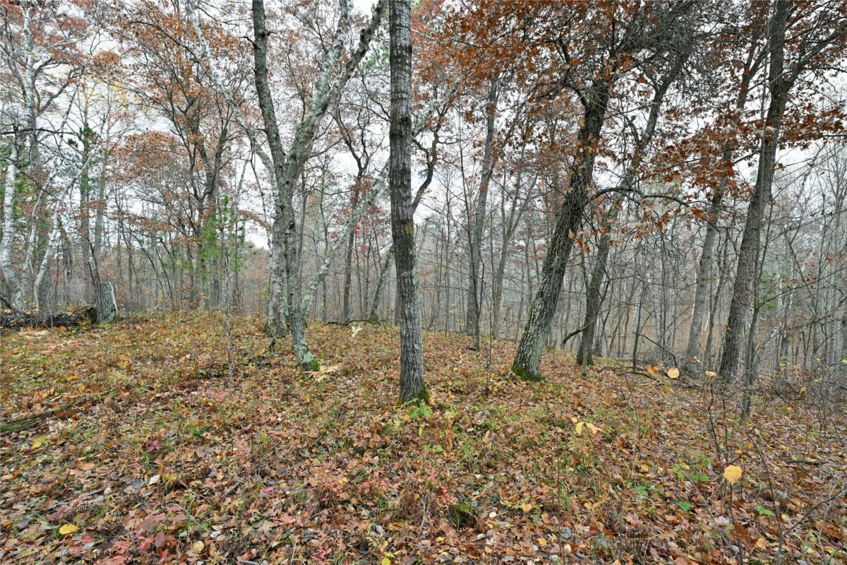 1894 S Lost Lake Road Danbury WI 54830 — photo 4