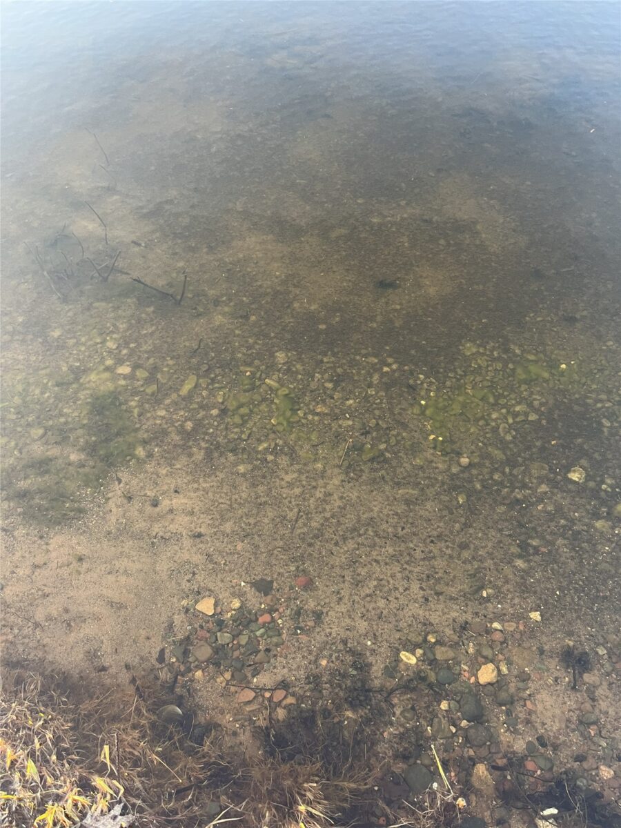 2005 1/2 Street, Comstock, WI — photo 7