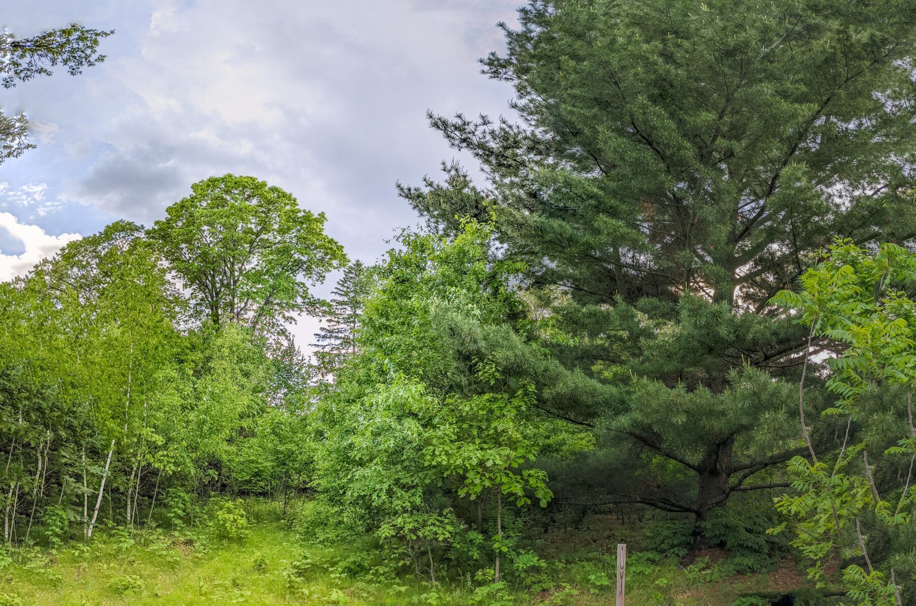 7646 196th Street, Chippewa Falls, WI — photo 14