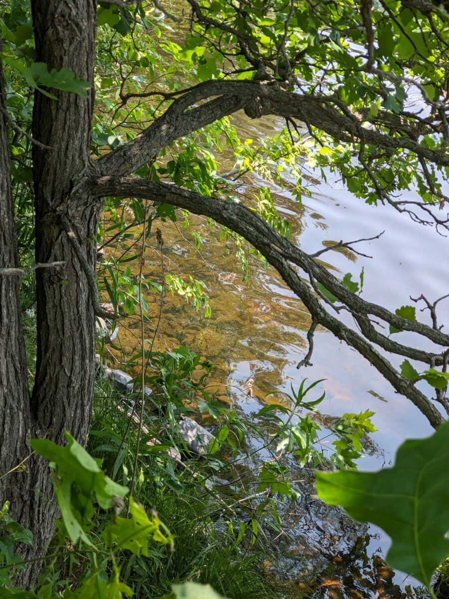 7646 196th Street, Chippewa Falls, WI — photo 18
