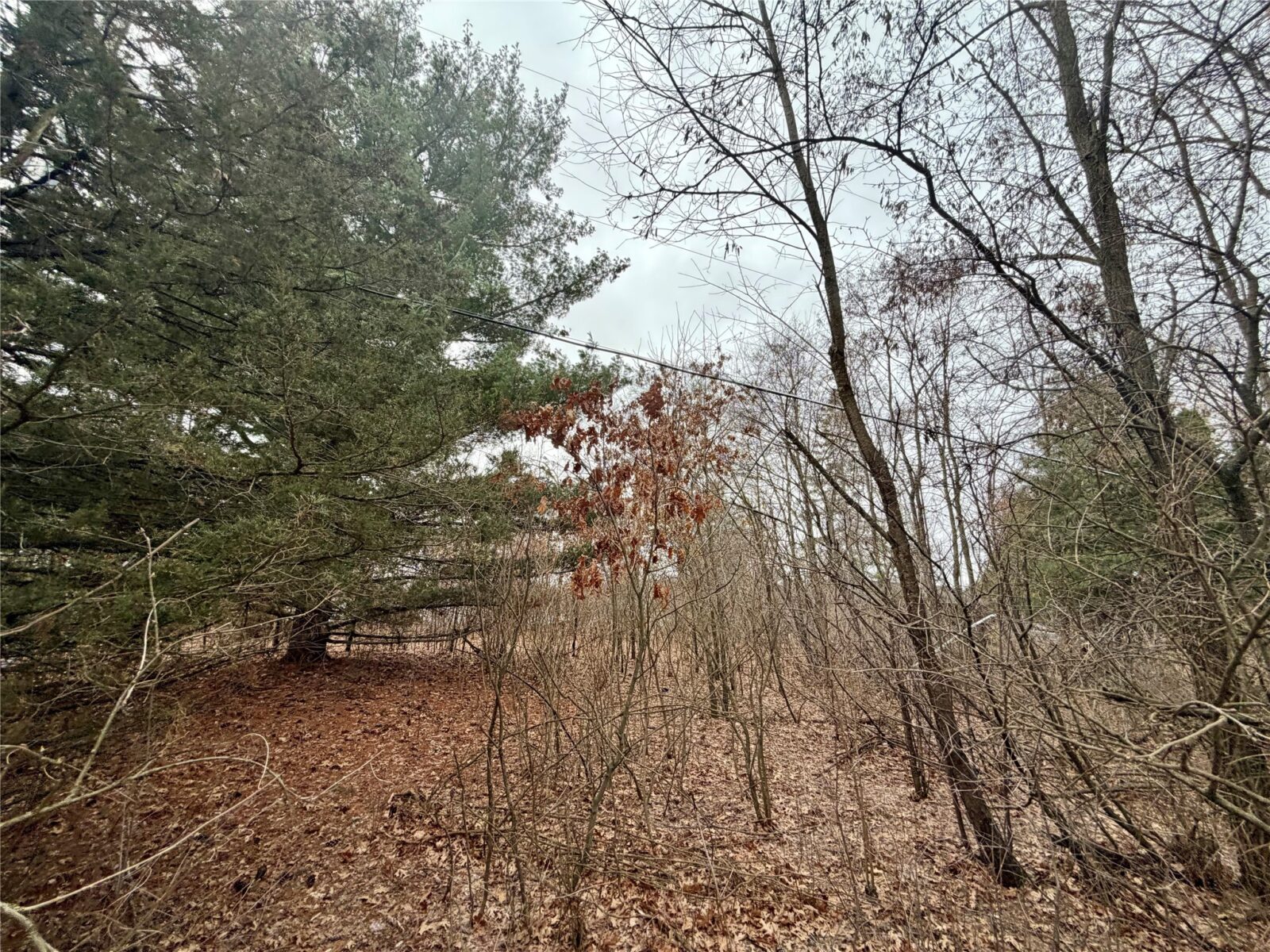 7646 196th Street, Chippewa Falls, WI — photo 5