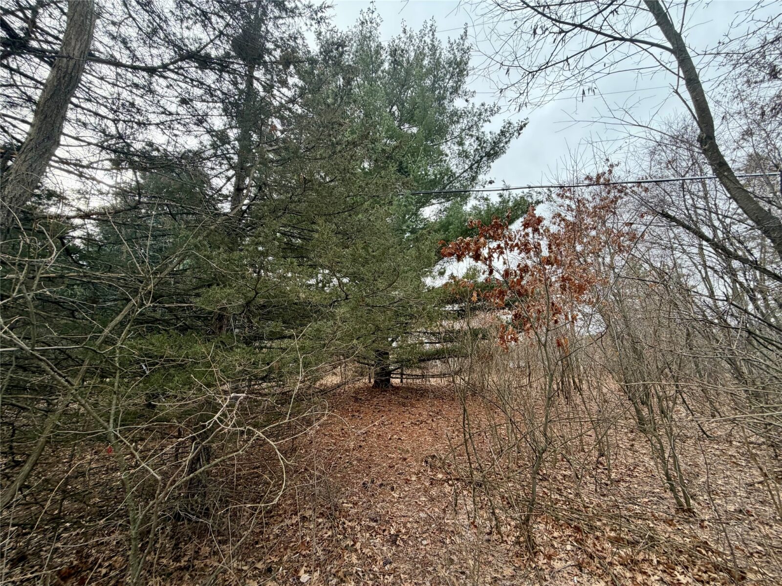 7646 196th Street, Chippewa Falls, WI — photo 6