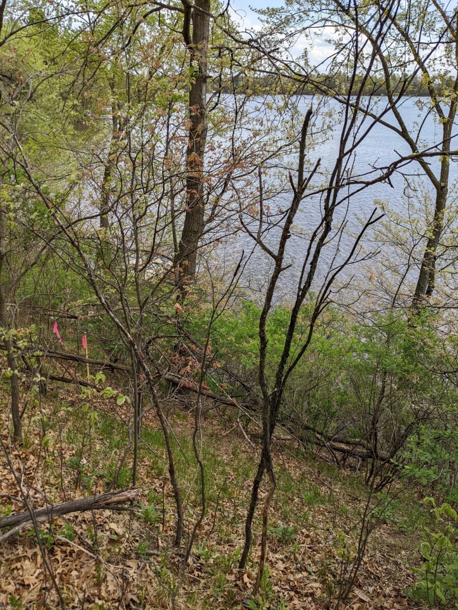 7646 196th Street, Chippewa Falls, WI — photo 9