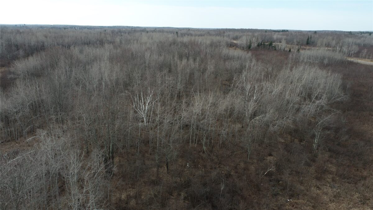 8431 W Hogsback Road Exeland WI 54835 — photo 25