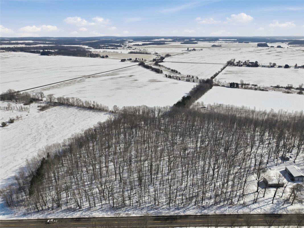 8733 State Highway 64 Bloomer WI 54724 — photo 10