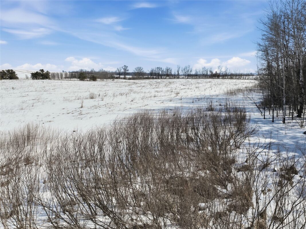 8733 State Highway 64 Bloomer WI 54724 — photo 13