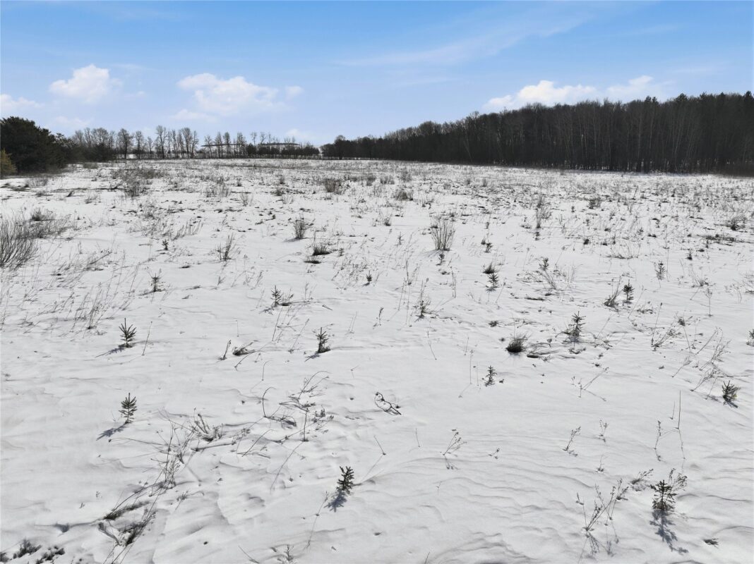 8733 State Highway 64 Bloomer WI 54724 — photo 14