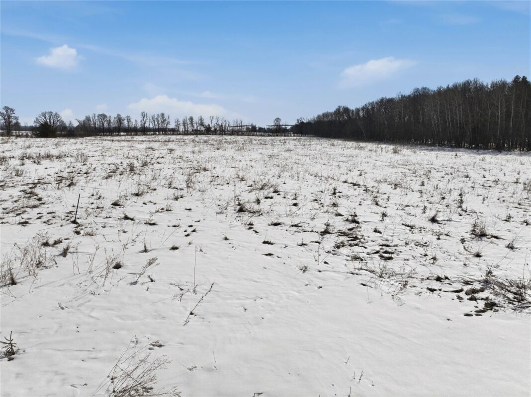 8733 State Highway 64 Bloomer WI 54724 — photo 5