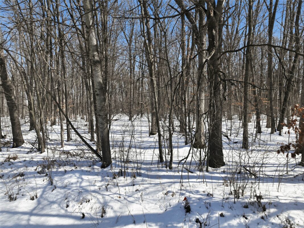 8733 State Highway 64 Bloomer WI 54724 — photo 9