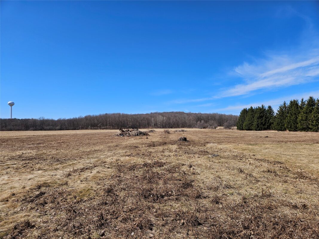 910-1025 Nottingham Street Rice Lake WI 54868 — photo 2