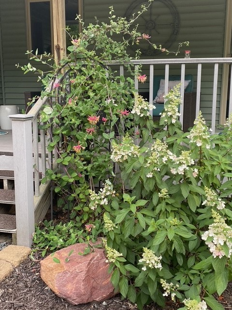 N12940-County-Road-T-Fairchild-WI-54741-7