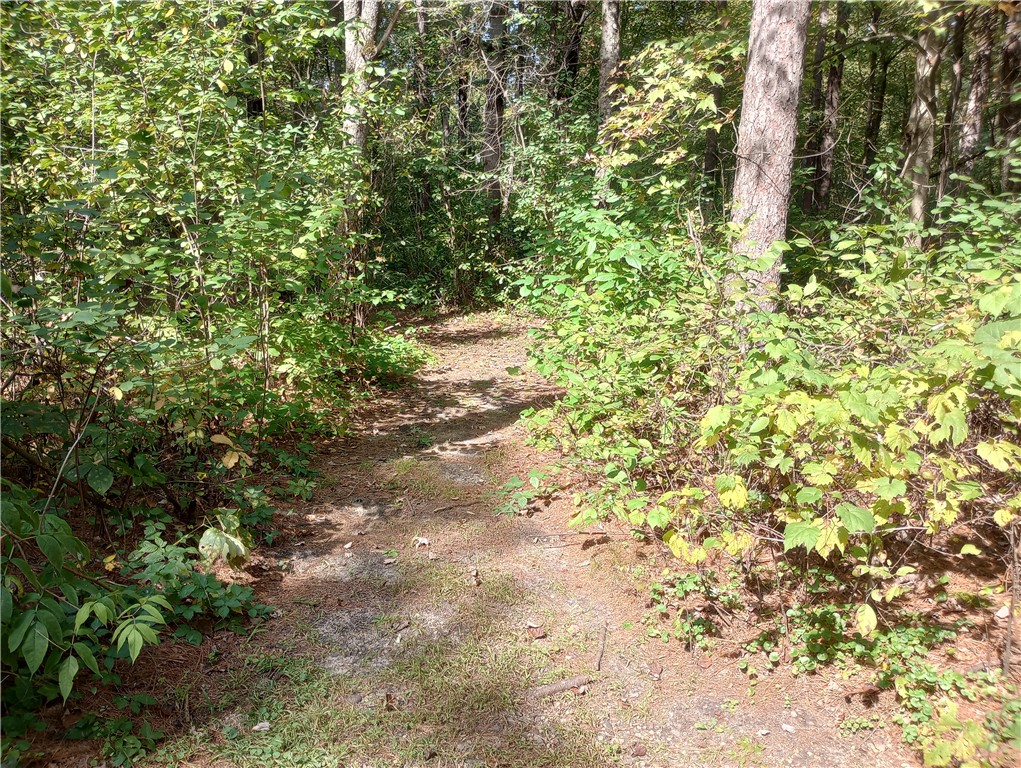 N7084-US-Highway-12-Black-River-Falls-WI-54615-9