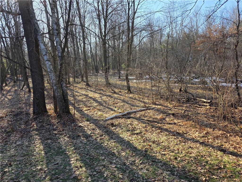 S2236-County-Road-D-Fall-Creek-WI-54742-8