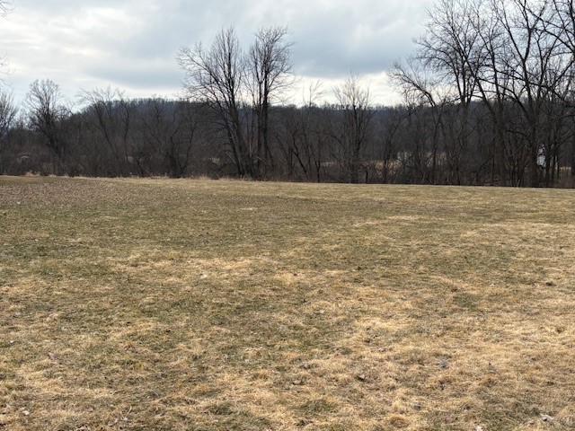 W9295-County-Hwy-SS-Pepin-WI-54759-3