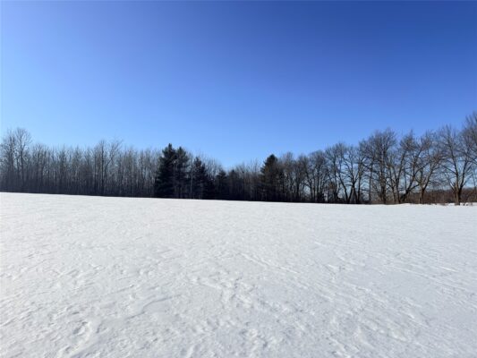 Lot 1 14 1/2 Street Rice Lake WI 54868 — photo 1