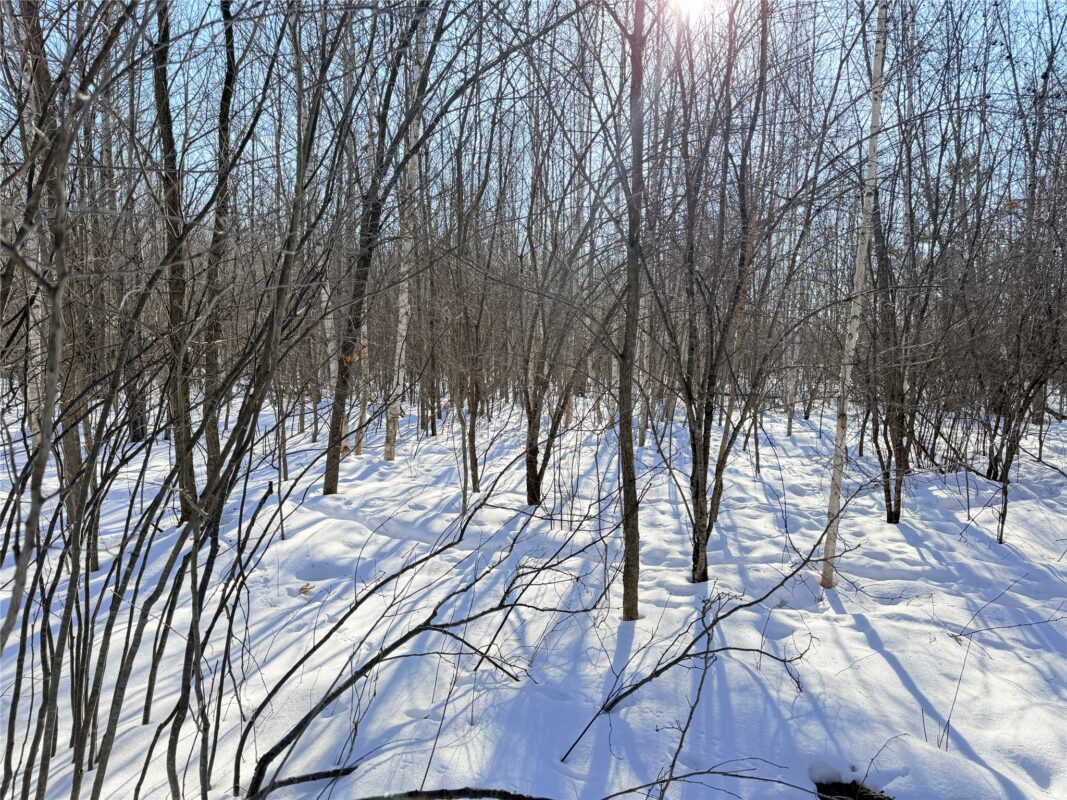 Lot 1 14 1/2 Street Rice Lake WI 54868 — photo 10