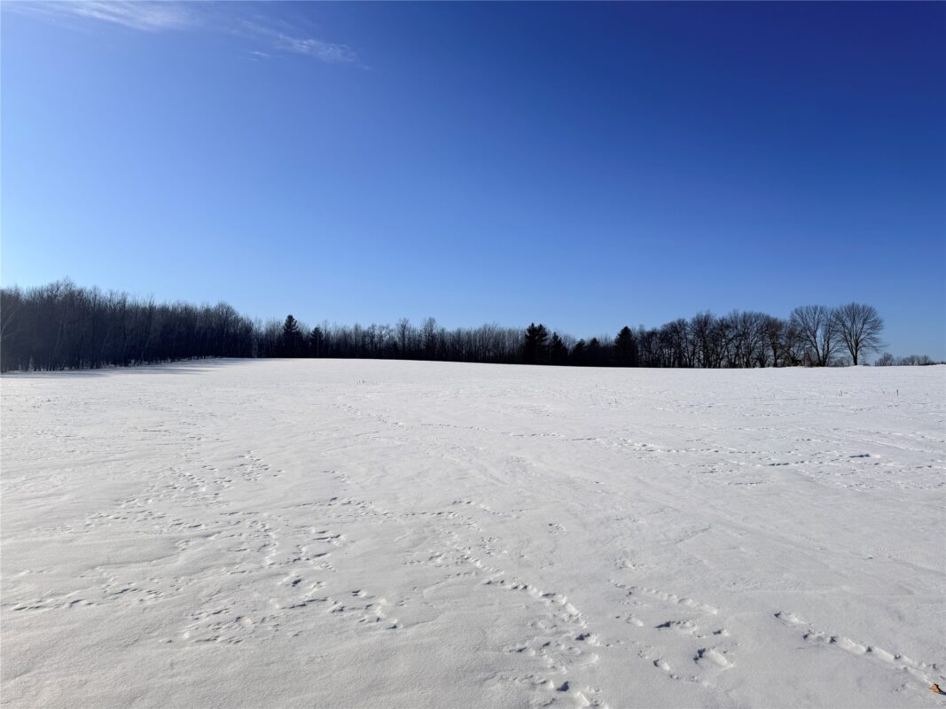 Lot 1 14 1/2 Street Rice Lake WI 54868 — photo 11