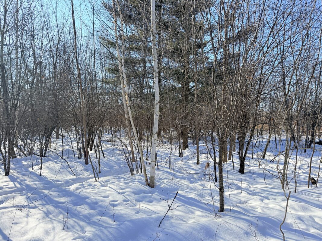 Lot 1 14 1/2 Street Rice Lake WI 54868 — photo 12