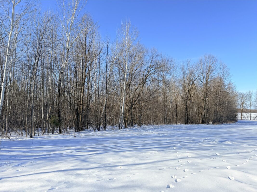 Lot 1 14 1/2 Street Rice Lake WI 54868 — photo 14