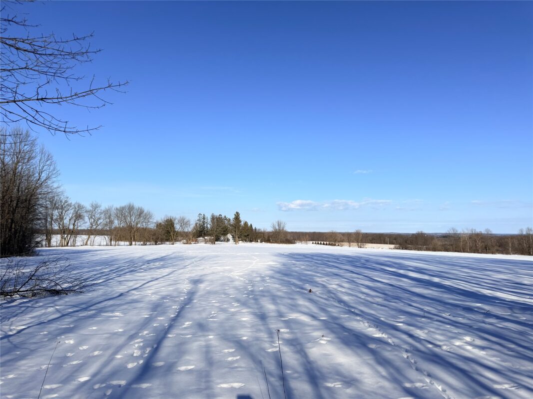 Lot 1 14 1/2 Street Rice Lake WI 54868 — photo 15