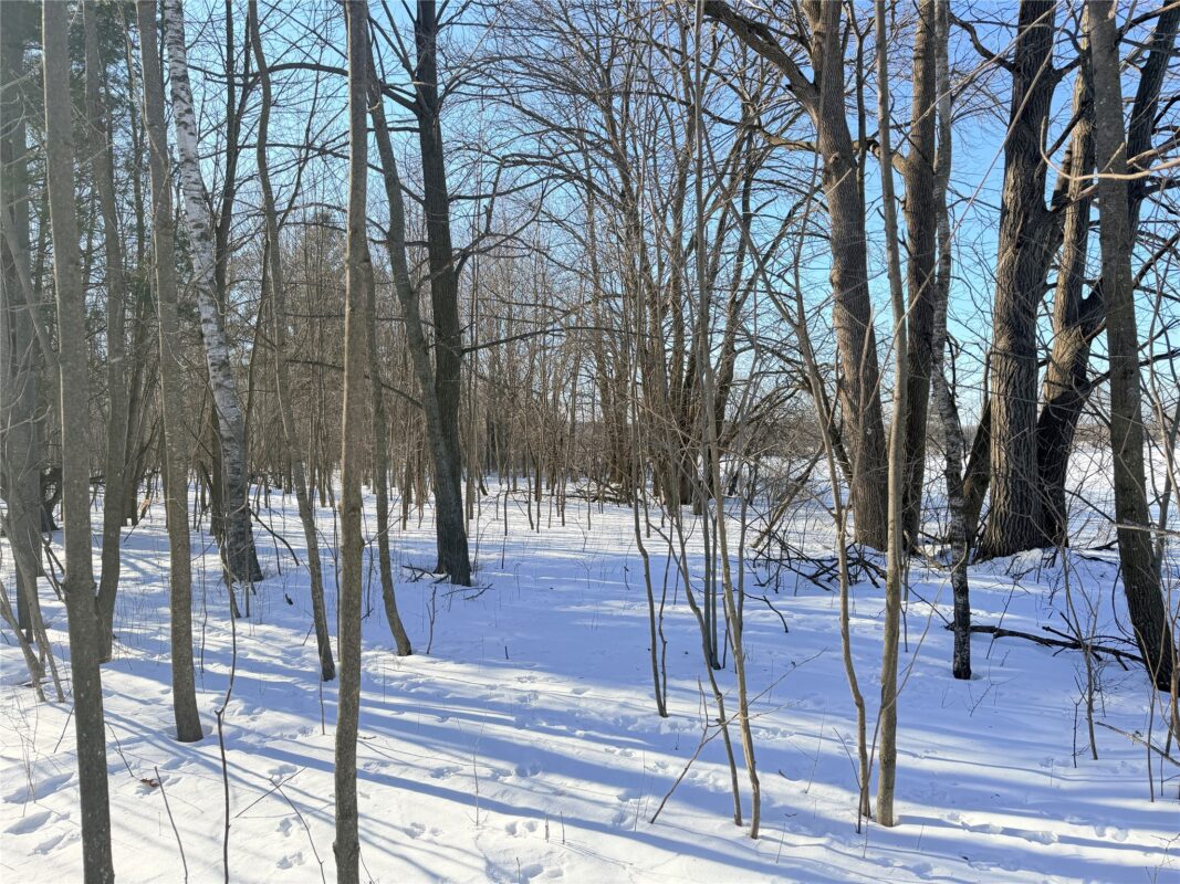 Lot 1 14 1/2 Street Rice Lake WI 54868 — photo 16