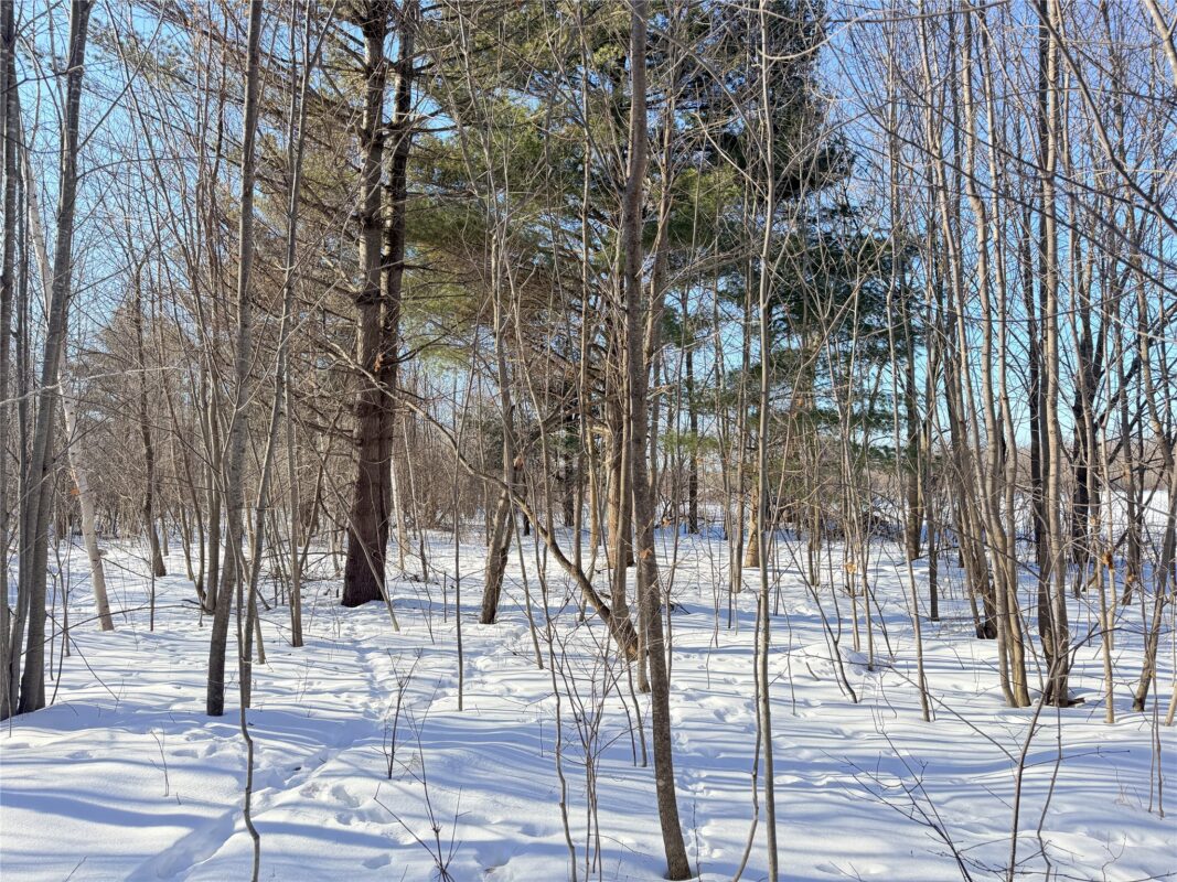 Lot 1 14 1/2 Street Rice Lake WI 54868 — photo 3