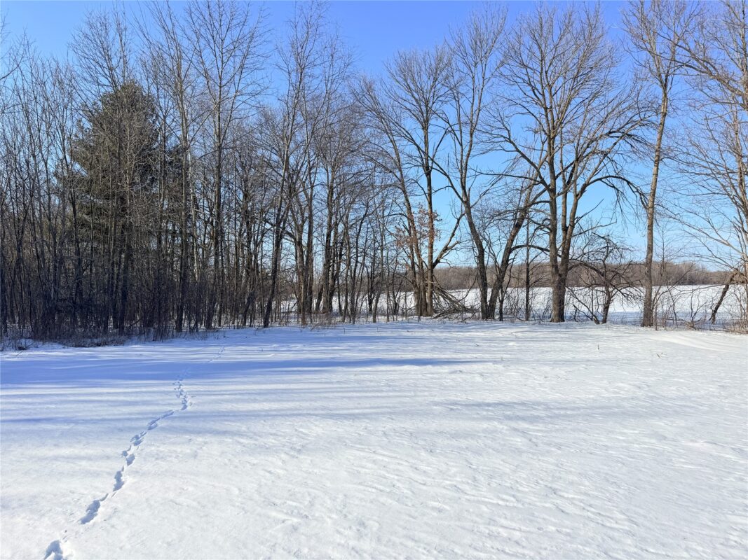 Lot 1 14 1/2 Street Rice Lake WI 54868 — photo 4