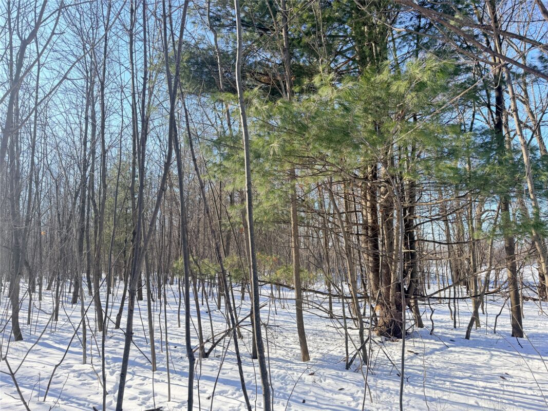 Lot 1 14 1/2 Street Rice Lake WI 54868 — photo 8