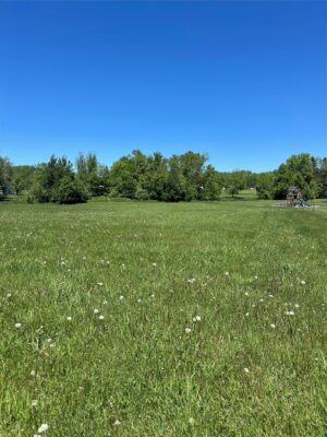 lot 12 Shire Crest Addition Thorp WI 54771 — photo 1