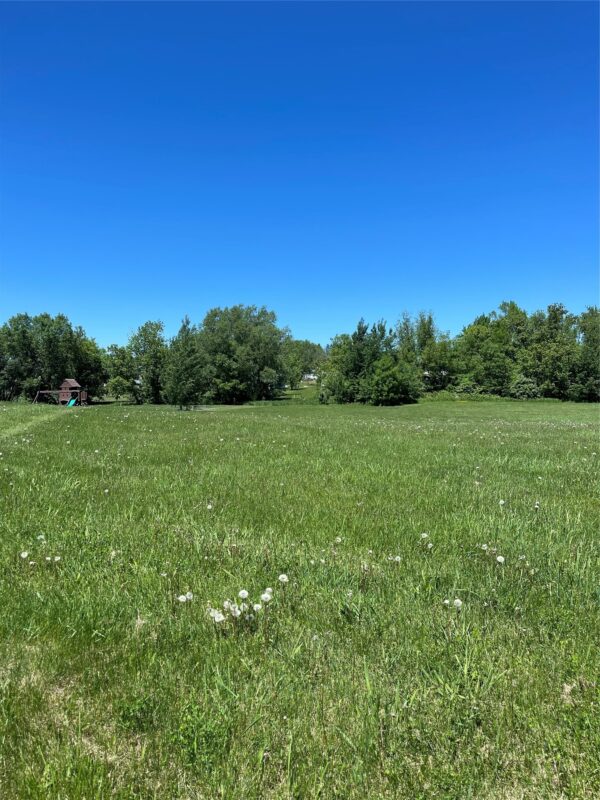 lot 12 Shire Crest Addition Thorp WI 54771 — photo 2