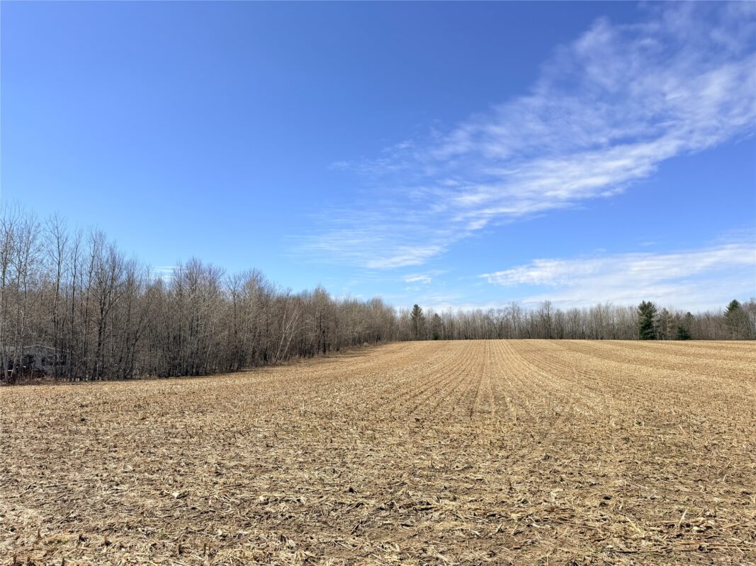 Land at Lot 2 14 1/2 Street, Rice Lake, WI 54868 — photo 10