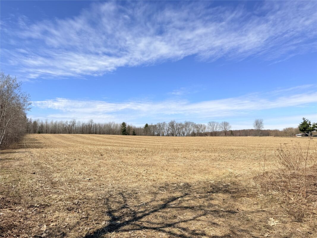 Land at Lot 2 14 1/2 Street, Rice Lake, WI 54868 — photo 12