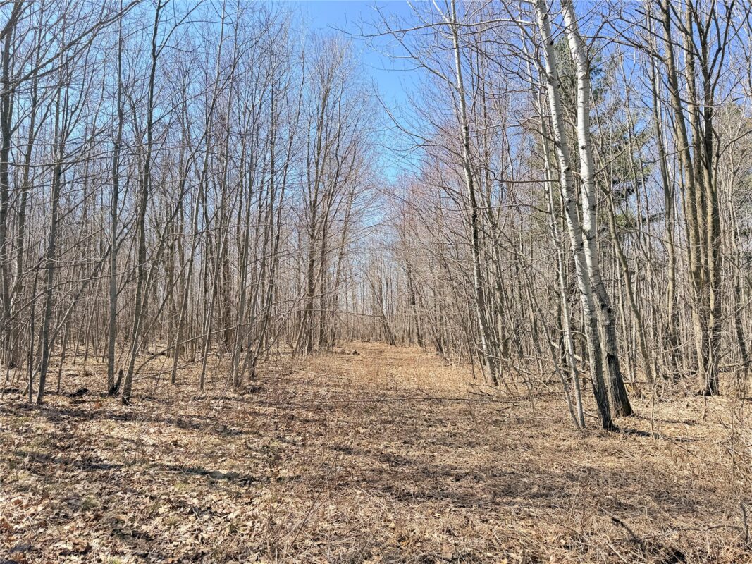 Land at Lot 2 14 1/2 Street, Rice Lake, WI 54868 — photo 13