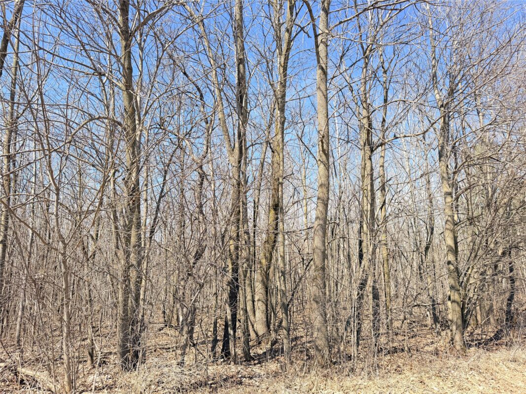 Land at Lot 2 14 1/2 Street, Rice Lake, WI 54868 — photo 14