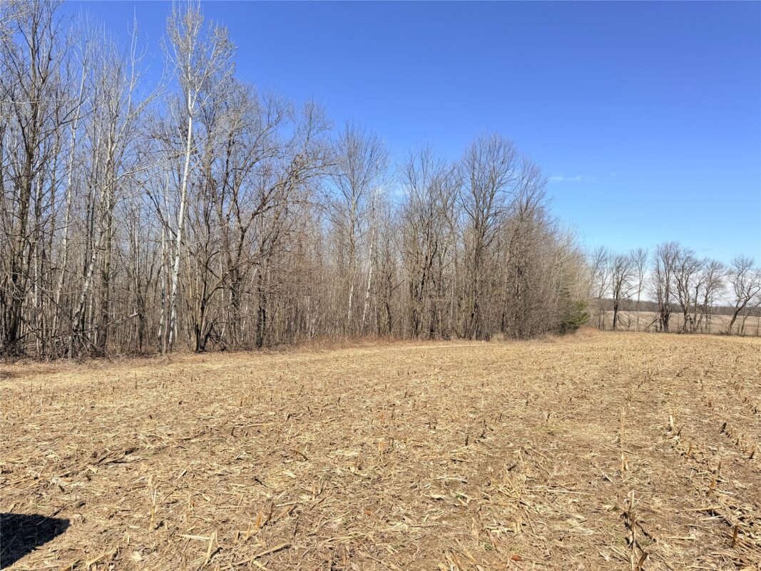 Land at Lot 2 14 1/2 Street, Rice Lake, WI 54868 — photo 15