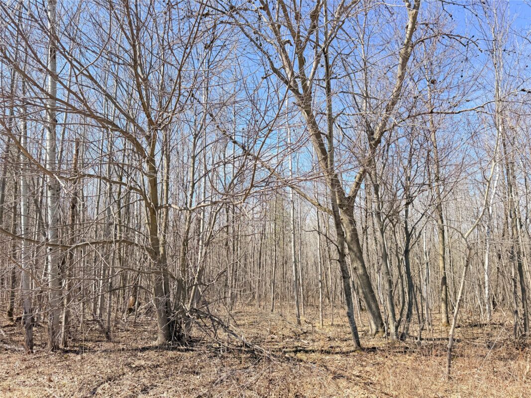 Land at Lot 2 14 1/2 Street, Rice Lake, WI 54868 — photo 16