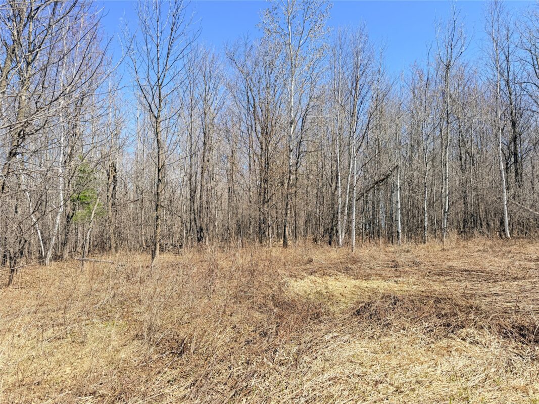 Land at Lot 2 14 1/2 Street, Rice Lake, WI 54868 — photo 17