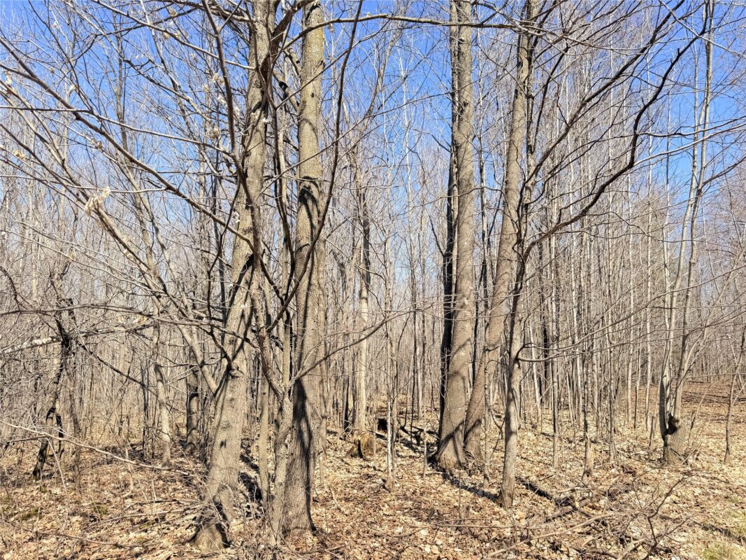 Land at Lot 2 14 1/2 Street, Rice Lake, WI 54868 — photo 19
